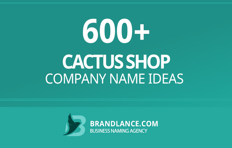 Cactus shop company name ideas for your new business venture