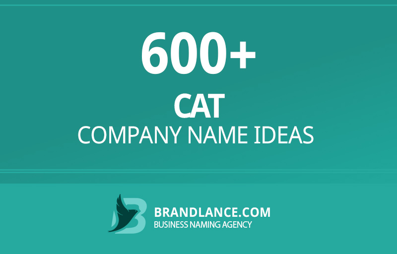 Cat company name ideas for your new business venture