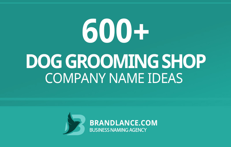 Dog grooming shop company name ideas for your new business venture