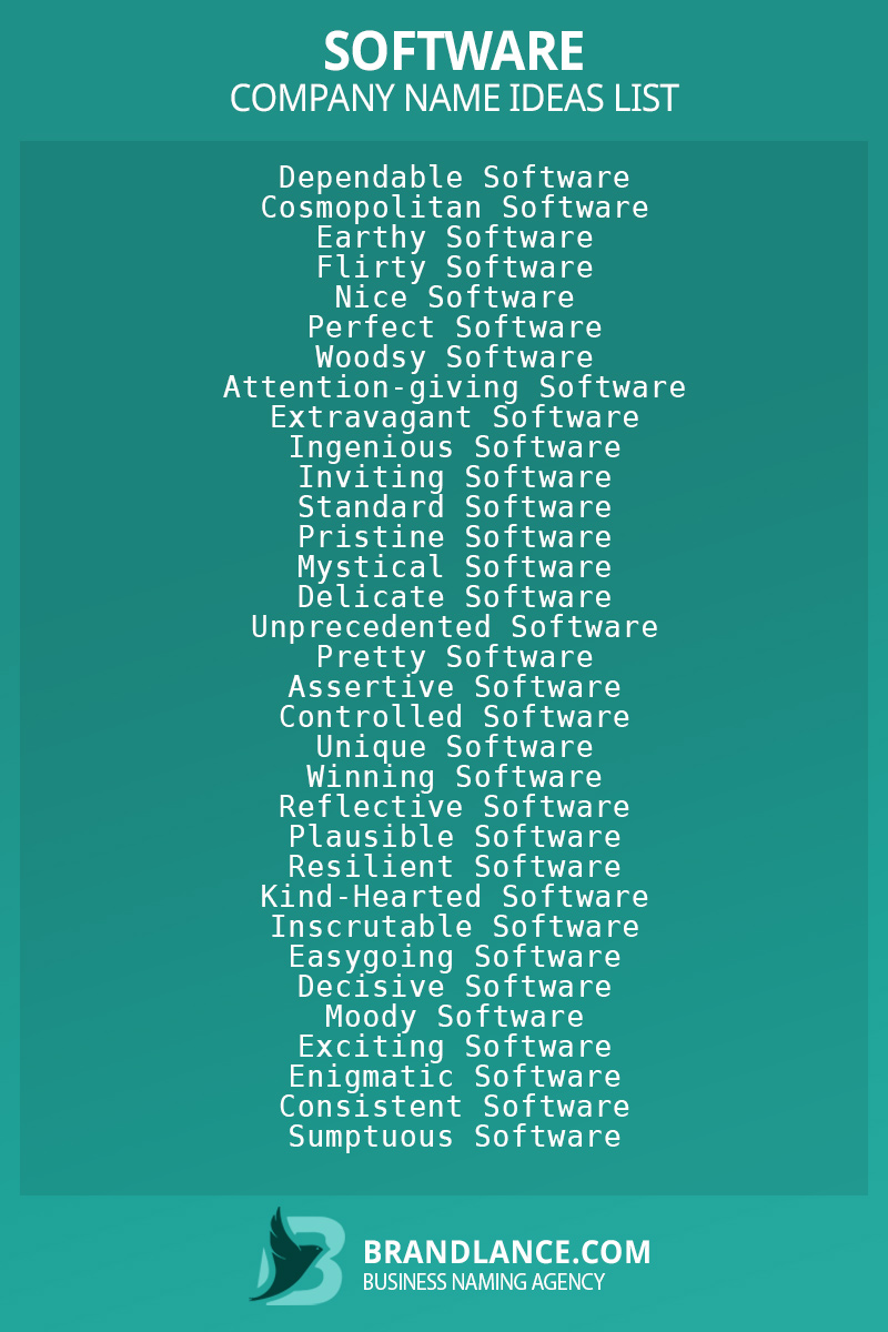 Software business naming suggestions from Brandlance naming experts